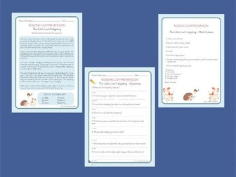 Year 2 Reading Comprehension - Animal Adaptations & The Little Lost Hedgehog