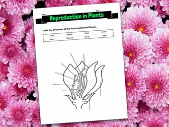 Label the Reproductive Structures of a Flowering Plant