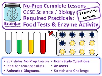 RPs: Food Tests, Amylase Enzymes and pH