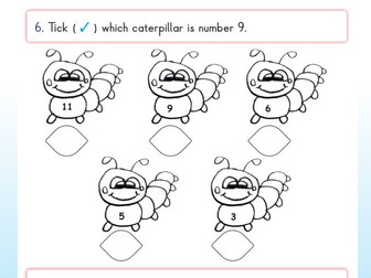 Counting & Colouring KS1 Maths