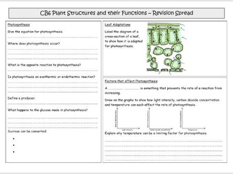 CB6 Plant Structures and their Functions