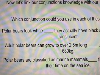 Non-Chronological Report - Polar Bears