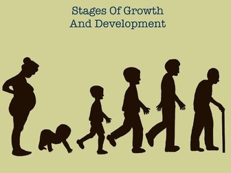 Stages Of Human Growth And Development