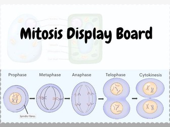 Mitosis Cell Division Wall Display Posters PMAT A4 Biology and Science Display Board