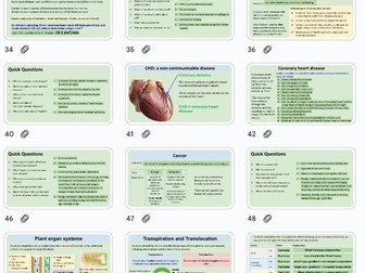 GCSE Revision: B2 Organisation