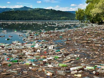 NEW AQA Topic 7 - Ecology Pollution Combined Higher