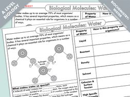 A Level Biology: Water Structure and Properties Summary Worksheet