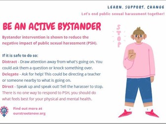 School Posters + Display Ideas on tackling public sexual harassment