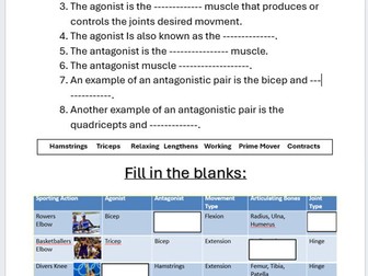 Antagonistic Muscle Pairs