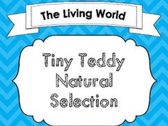 Tiny Teddy Graham Natural Selection