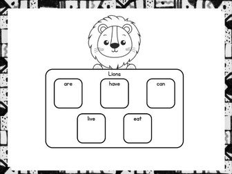 Lion Fact File Activities