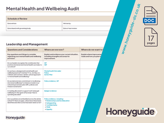 Mental Health and Wellbeing Audit and Action Plan