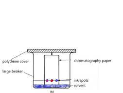 chromatography experiment igcse