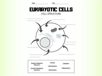 Eukaryotic Cell Structure worksheet