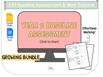 Year 2 Baseline Assessment