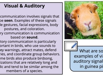 Pearson Animal Care BTEC Tech Award Component 1