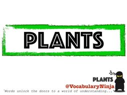Plants Topic Vocabulary Pack