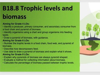 B18.8 Trophic levels and biomass