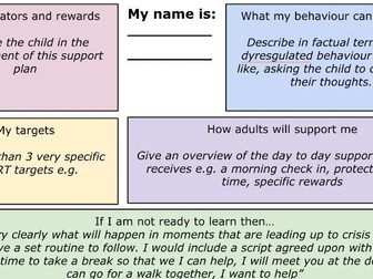 Individual Behaviour Support Plan