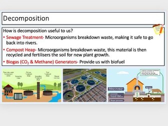 Decomposition and Decay and Practical (2 lessons)