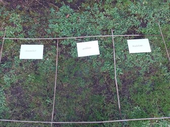 Outdoor Writing Activities Storytelling KS1 KS2