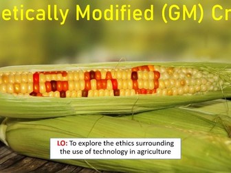 Genetically Modified (GM) Crops (Global Perspectives)