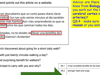 AQA NEW GCSE 9-1 Spanish Second Specimen HIGHER READING exam paper - advice, answers, Quizlet