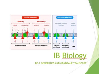 IB Biology 2025 syllabus Topic B2.1