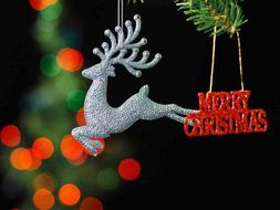 Christmas Form Time Quiz / Activities