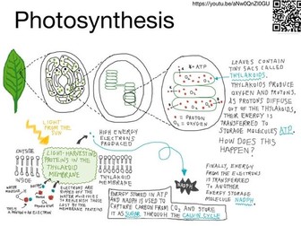 Photosynthesis: YouTube video with pdf summary sheet