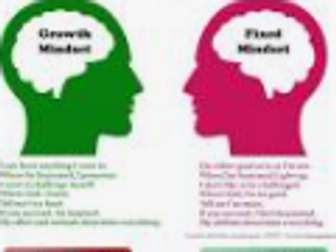 L3 - Uniformed protective Services -  Dweck's Mindset Theory