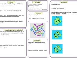 Selection And Speciation Worksheet Answers - Worksheet List Selection And Speciation Worksheet Answers - Worksheet List