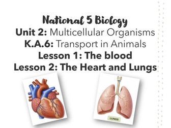 National 5 Biology: Animal Transport - Unit 2: Key Area 6