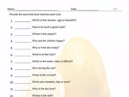 Present Simple Tense with Question Words Matching Vocabulary Worksheet