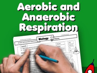 Aerobic and Anaerobic Respiration Worksheet GCSE