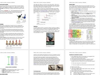 CB4 A B evolution information packet lesson combined science Edexcel group task- find out yourself
