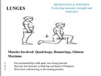 Resistance Exercise Circuit Cards - with coaching points which can be printed and laminated