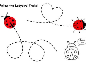 Fine motor Ladybird Trails