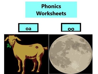Phonics Worksheets oo, oa, ai,