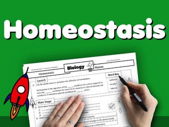 Homeostasis Home Learning Worksheet GCSE