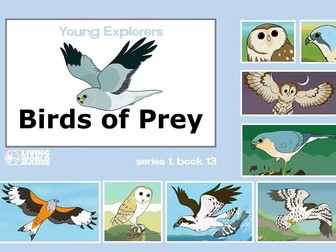 Birds of Prey e-book NATURE WILDLIFE