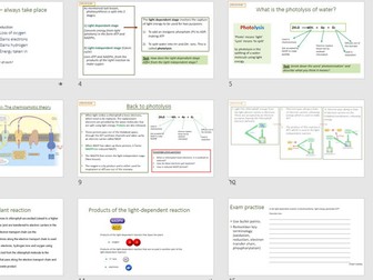 Photosynthesis, the light dependant reaction