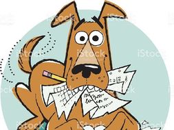 Homework help rainforests