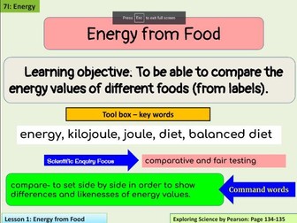 Energy from Food Lesson