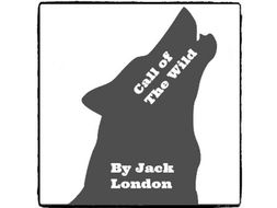 Call of The Wild - (Reed Novel Studies)