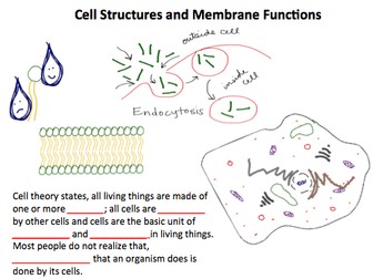 Cell Structures and Membrane Functions Cloze Activity