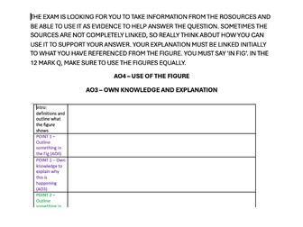 Exam Technique Worksheets - Edexcel iGCSE Geography