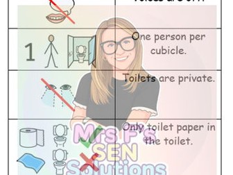 Toilet Rules Visual