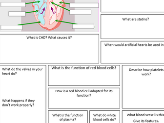 B2 - Organisation Revision broadsheet AQA NEW 2018 trilogy.