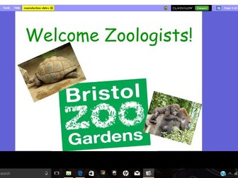 Animal Reproduction- based around being an animal specialist at Bristol Zoo